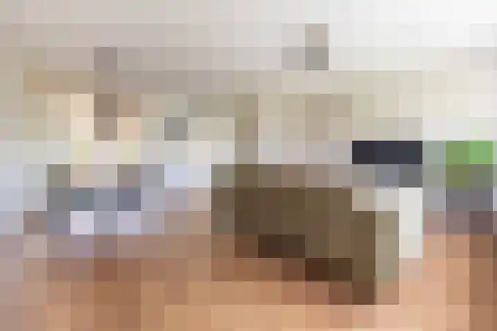 Oliemolen 3 Alphen aan den Rijn thumbnail 4