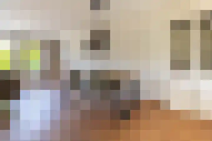 Oliemolen 3 Alphen aan den Rijn thumbnail 5