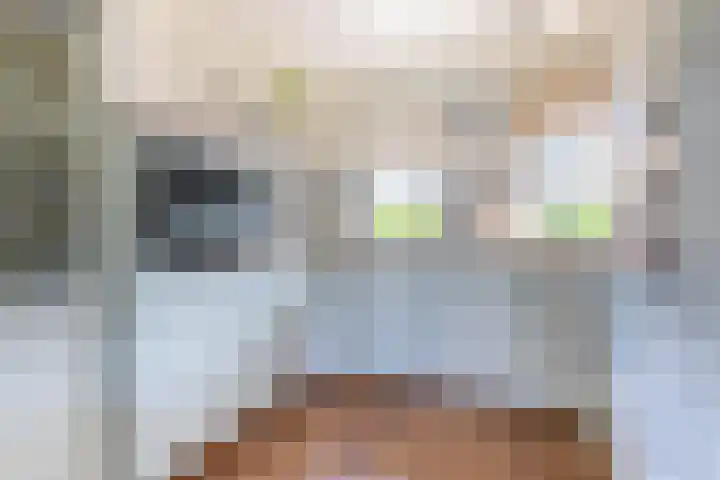 Oliemolen 3 Alphen aan den Rijn thumbnail 7