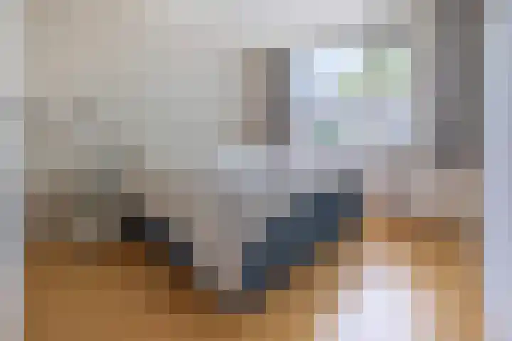 Oliemolen 3 Alphen aan den Rijn thumbnail 9
