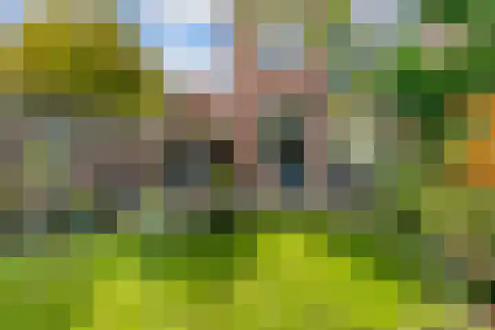 Oliemolen 3 Hoorn thumbnail 24