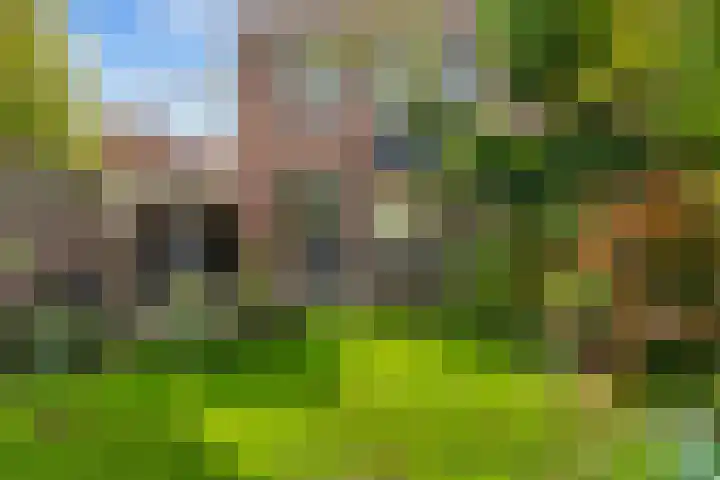 Oliemolen 3 Hoorn thumbnail 25