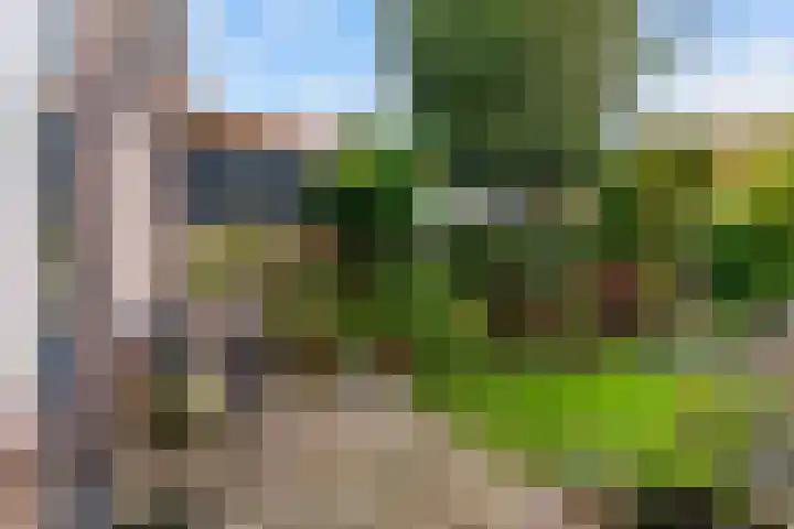 Oliemolen 3 Hoorn thumbnail 26