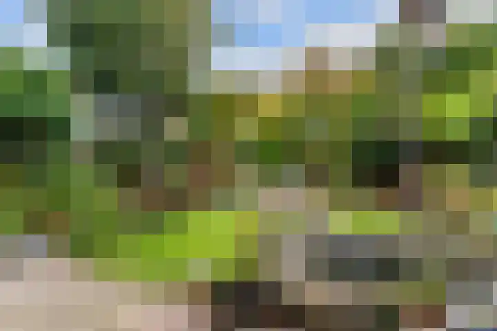 Oliemolen 3 Hoorn thumbnail 27