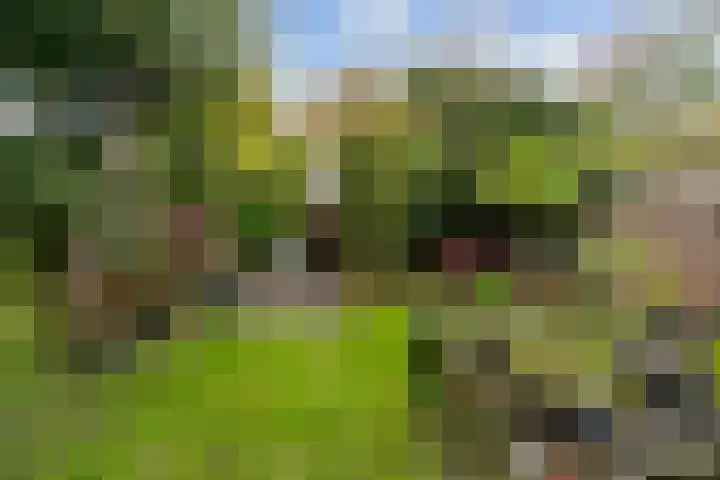Oliemolen 3 Hoorn thumbnail 29