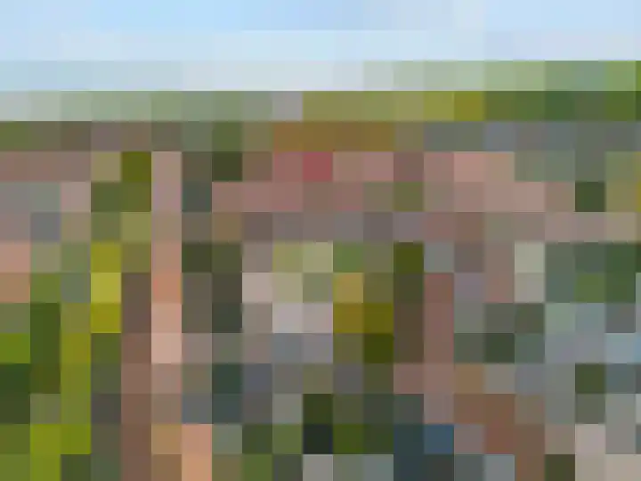 Oliemolen 3 Hoorn thumbnail 33