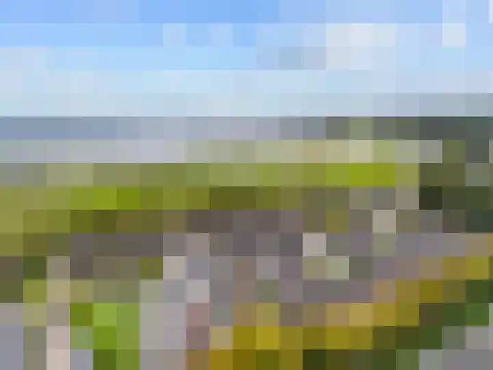 Oliemolen 3 Hoorn thumbnail 34