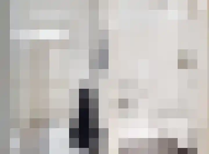 Oliemolen 3 Hoorn thumbnail 5