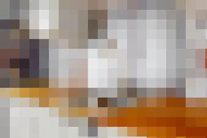 Oliemolen 3 Hoorn thumbnail 9