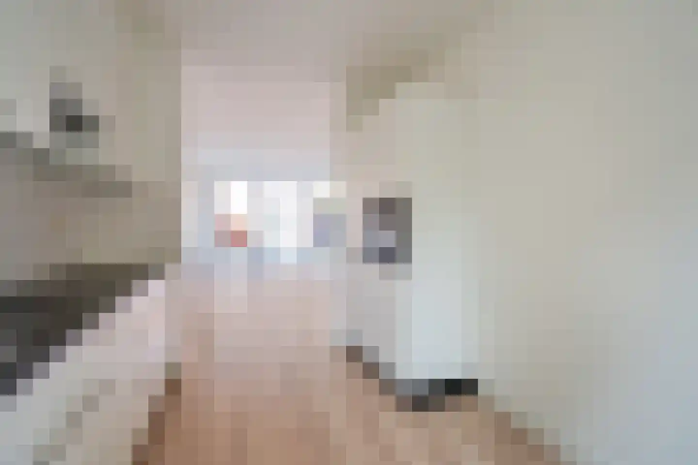 Oliemolen 38 Delft thumbnail 17