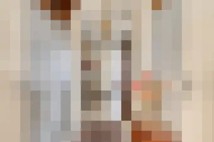 Oliemolen 40 Gemert thumbnail 12