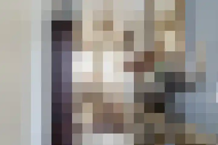 Oliemolen 40 Gemert thumbnail 13