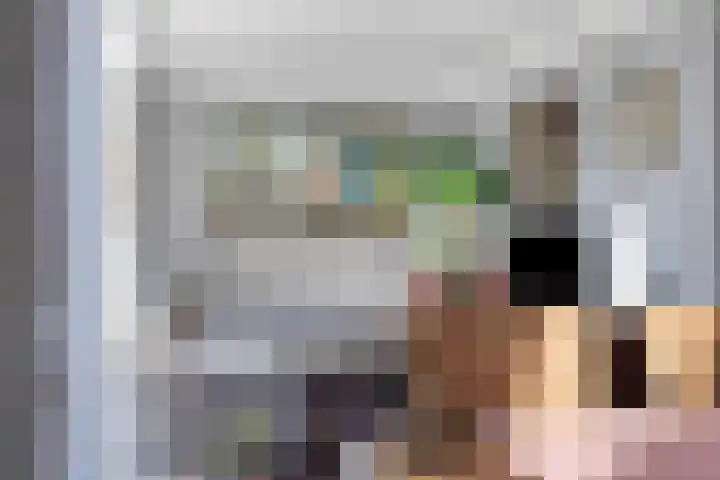 Oliemolen 40 Gemert thumbnail 20