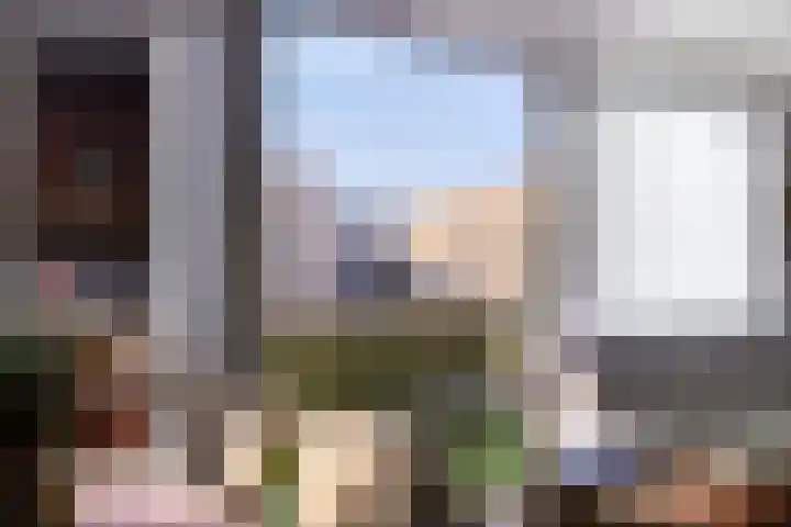 Oliemolen 40 Gemert thumbnail 21