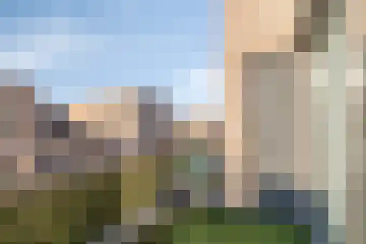 Oliemolen 40 Gemert thumbnail 22
