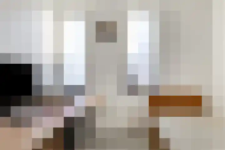 Oliemolen 40 Gemert thumbnail 29