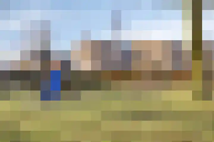 Oliemolen 40 Gemert thumbnail 33