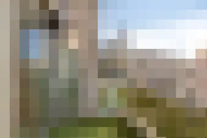 Oliemolen 40 Gemert thumbnail 4