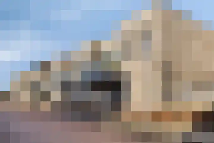 Oliemolen 40 Gemert thumbnail 7