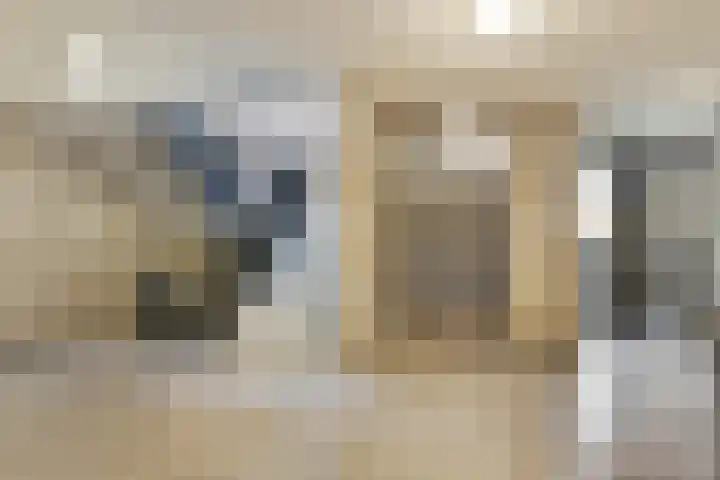 Oliemolen 40 Gemert thumbnail 9