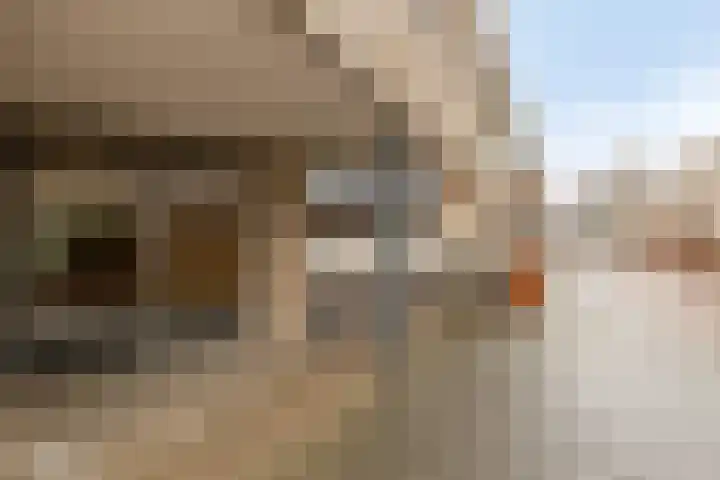 Oliemolen 48 Gemert thumbnail 10