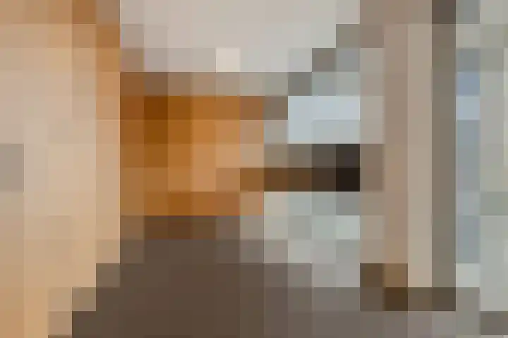 Oliemolen 48 Gemert thumbnail 11
