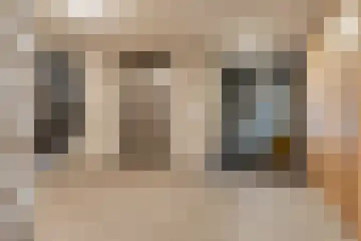 Oliemolen 48 Gemert thumbnail 12