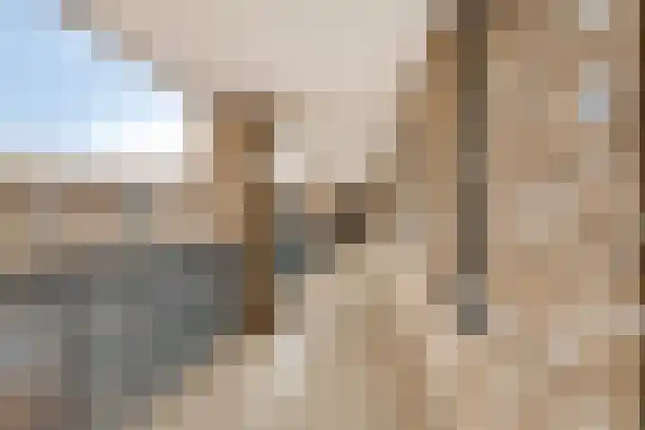 Oliemolen 48 Gemert thumbnail 13