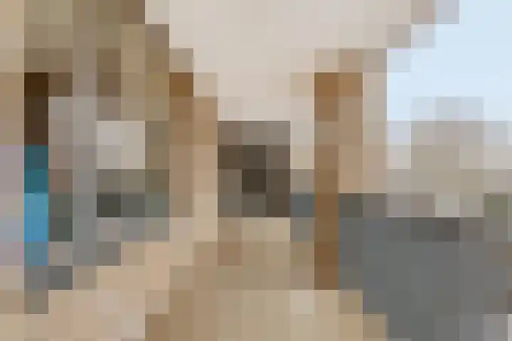 Oliemolen 48 Gemert thumbnail 14