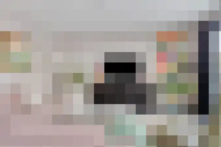 Oliemolen 48 Gemert thumbnail 18