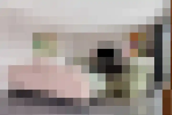 Oliemolen 48 Gemert thumbnail 19