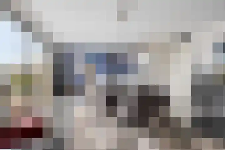 Oliemolen 48 Gemert thumbnail 21