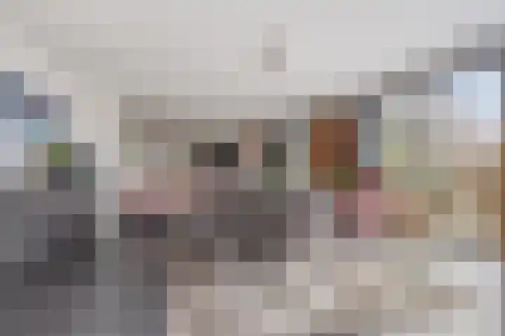Oliemolen 48 Gemert thumbnail 23