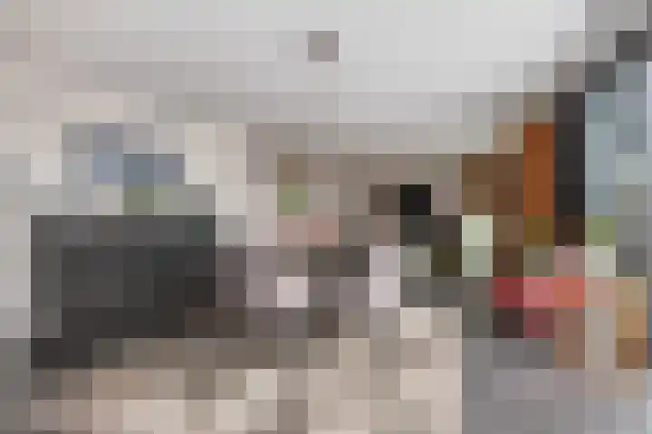 Oliemolen 48 Gemert thumbnail 24