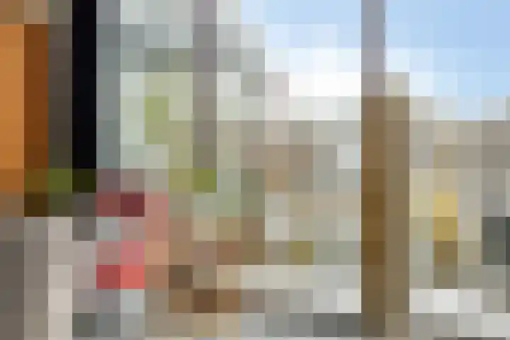 Oliemolen 48 Gemert thumbnail 27