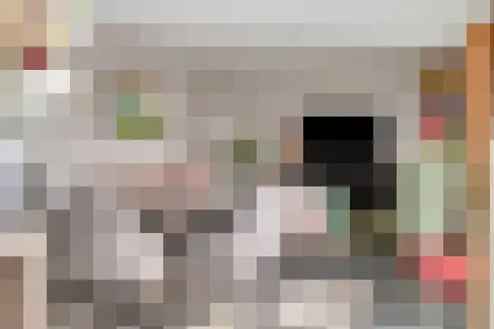 Oliemolen 48 Gemert thumbnail 28