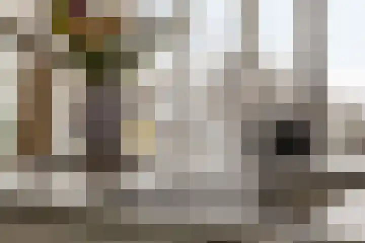 Oliemolen 48 Gemert thumbnail 33