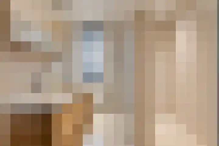 Oliemolen 48 Gemert thumbnail 34