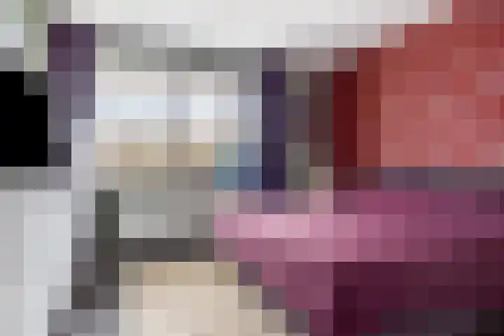 Oliemolen 48 Gemert thumbnail 36