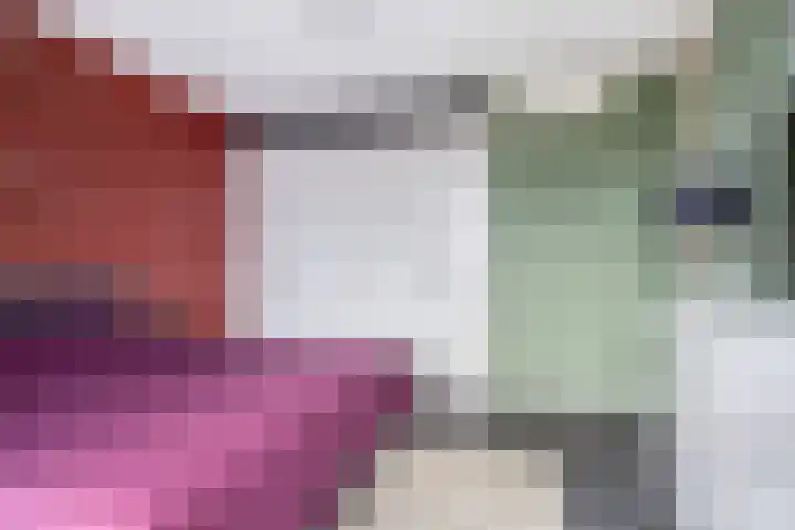Oliemolen 48 Gemert thumbnail 37