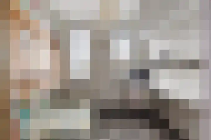 Oliemolen 48 Gemert thumbnail 38