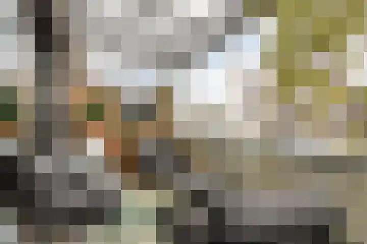 Oliemolen 48 Gemert thumbnail 39