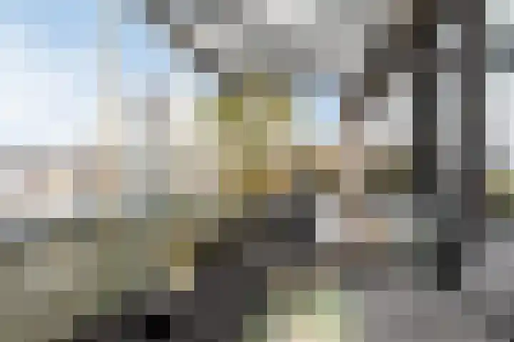 Oliemolen 48 Gemert thumbnail 40