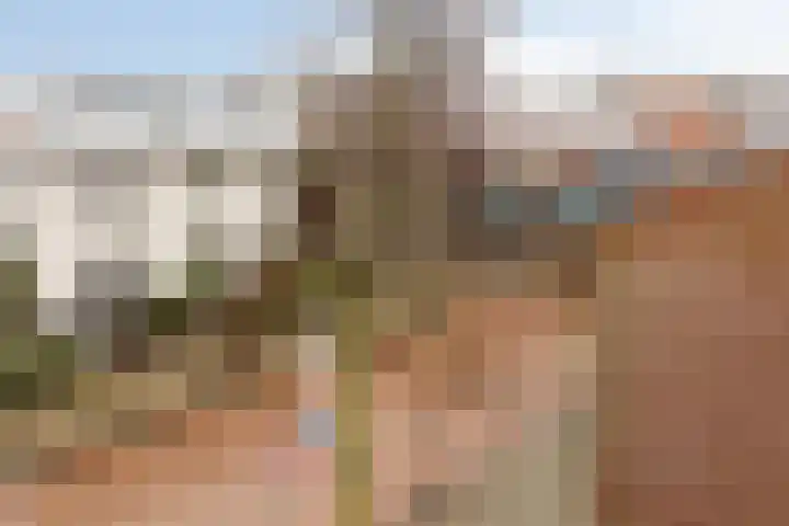Oliemolen 48 Gemert thumbnail 43
