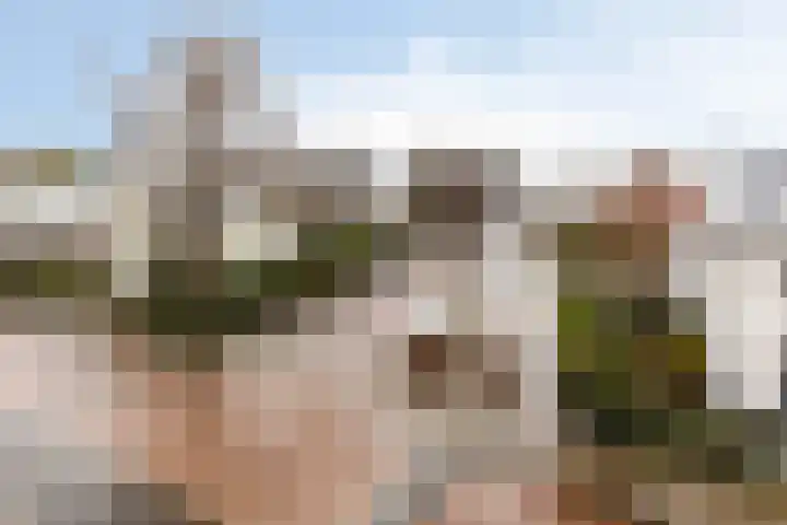 Oliemolen 48 Gemert thumbnail 44