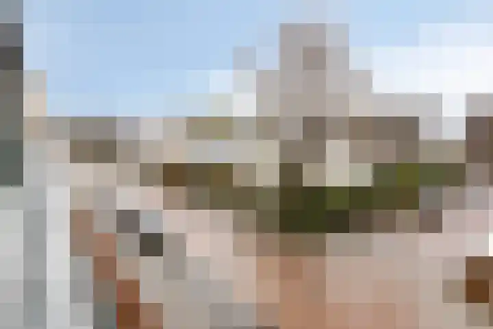Oliemolen 48 Gemert thumbnail 45