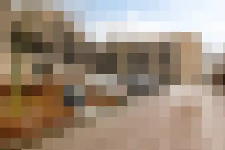 Oliemolen 48 Gemert thumbnail 47