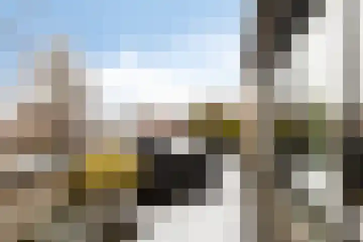 Oliemolen 48 Gemert thumbnail 5