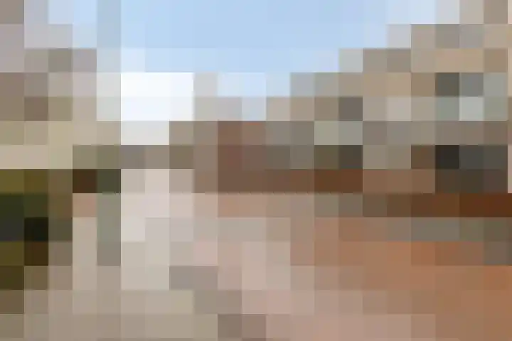 Oliemolen 48 Gemert thumbnail 8