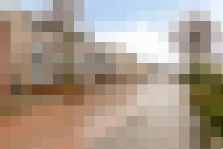 Oliemolen 48 Gemert thumbnail 9
